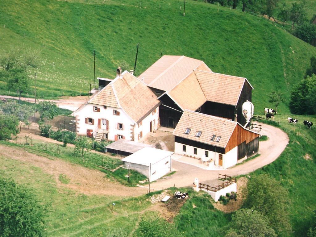 Gite A L'Oree Des Biches Sainte-Marie-aux-Mines Rom bilde