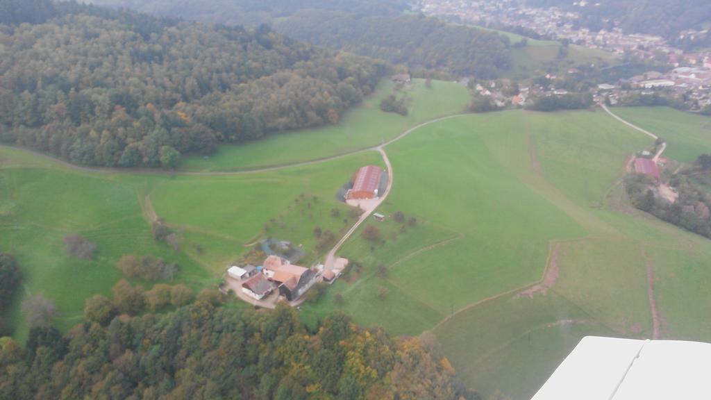 Gite A L'Oree Des Biches Sainte-Marie-aux-Mines Eksteriør bilde